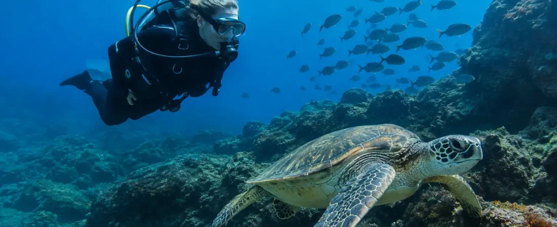Tenerife Marine Highlights Beneath the Surface