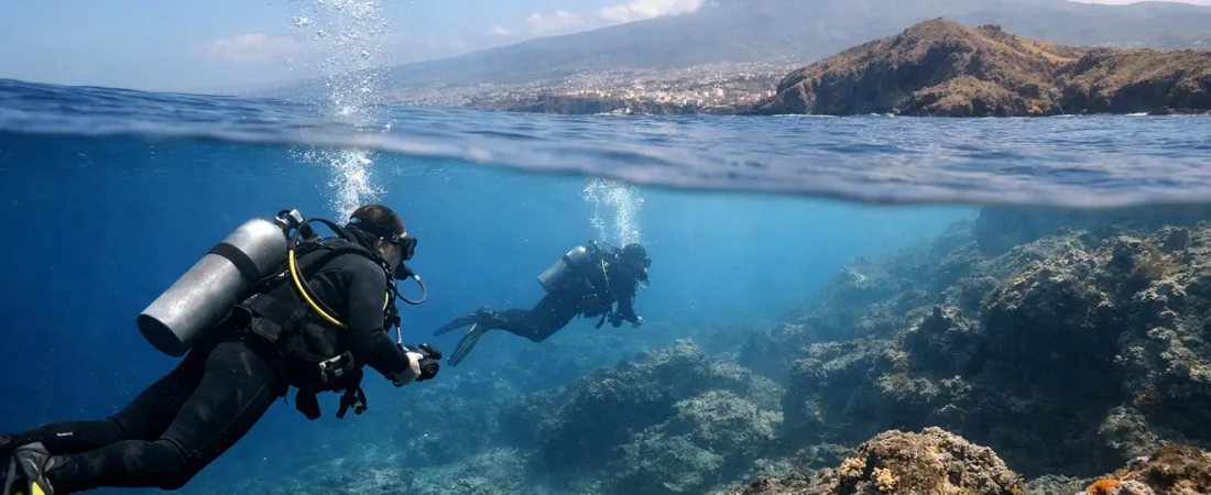 When Is the Best Season for Diving in Tenerife?